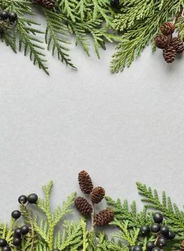Fir frames on grey background. happy new year 2021 Stock Photos