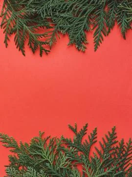Fir frames on red background. happy new year 2021 Stock Photos