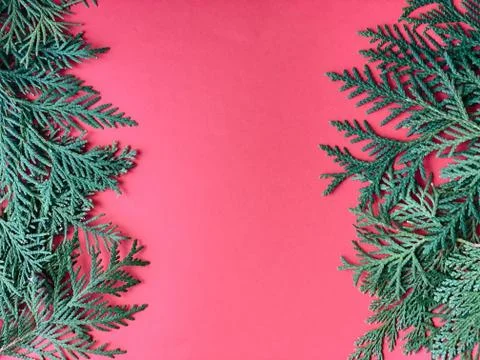 Fir frames on red background. happy new year 2021 Stock Photos