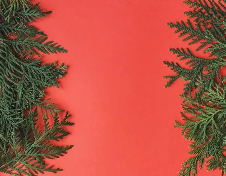 Fir frames on red background. happy new year 2021 Stock Photos