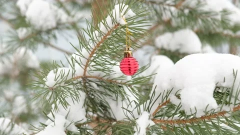 Fir green branches decorated with small red ball, swinging in wind. Winter snowy Stock Footage 226943830