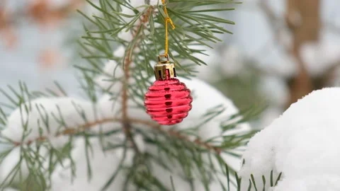 Fir green branches decorated with small red ball, swinging in wind. Winter snowy Stock Footage 226943854