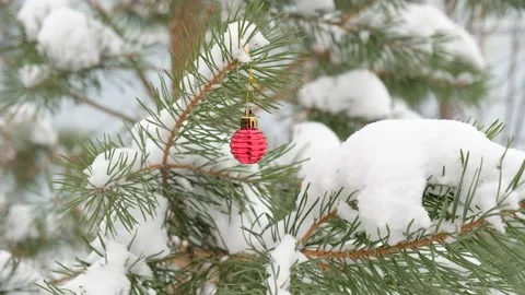 Fir green branches decorated with small red ball, swinging in wind. Winter snowy Stock Footage 226943891