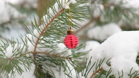 Fir green branches decorated with small red ball, swinging in wind. Winter snowy Stock Footage 226943950