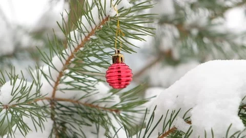 Fir green branches decorated with small red ball, swinging in wind. Winter snowy Stock Footage 226944154