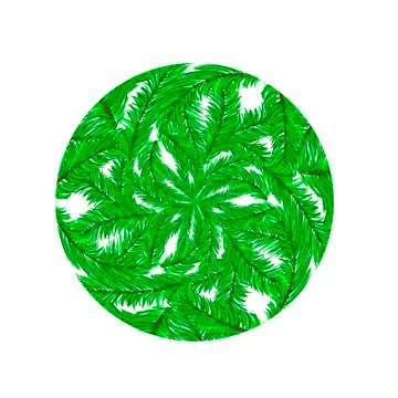 Fir Green Branches Pattern 스톡 일러스트