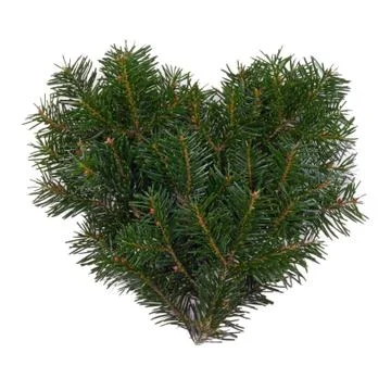 Fir heart Stock Photos