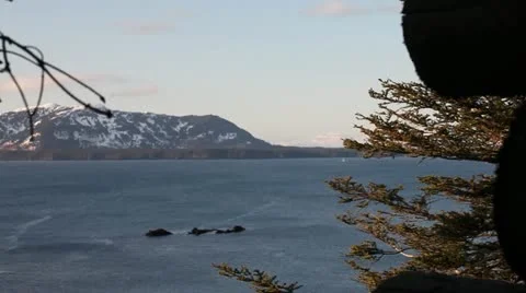 Fir Island 動画素材 11019105