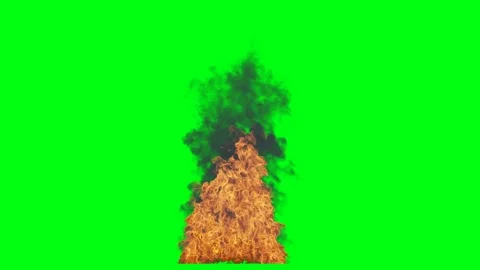 Fir isolate on green screen 4k. Smoke. Realistic simulation. Stock Footage 145921722