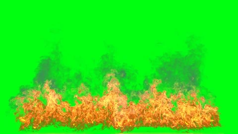 Fir isolate on green screen 4k. Smoke. Realistic simulation. Video stock 145921768