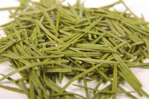 Fir needles close up Foto stock