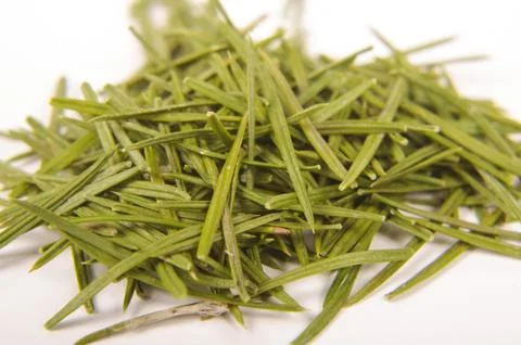 Fir needles close up Stock Photos