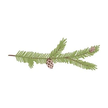 Fir or pine branch with cones in cartoon flat style. Hand drawn vector Stock Illustration