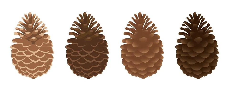 Fir or pine cones set. Open cones isolated on white background. Vector illu.. Stock Illustration