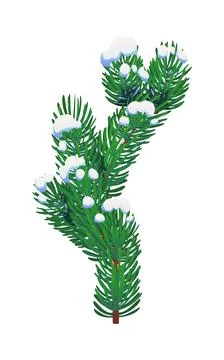 Fir or pine tree branch in snow, Christmas holiday Stock Illustration