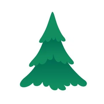 Fir or pine tree. Vector illustration isolated on white. Stock Illustration