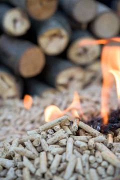 Fir Pellets in wlames Stock Photos