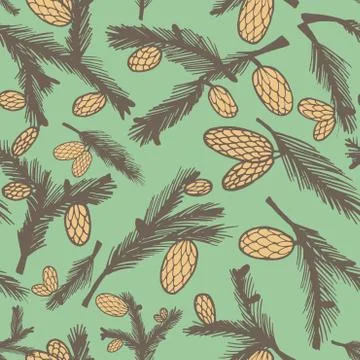 Fir pine cone seamless pattern Stock Illustration