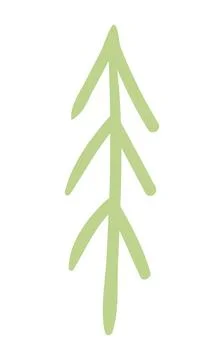 Fir, pine, spruce, conifer tree simple doodle isolated. Stock Illustration