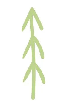 Fir, pine, spruce, conifer tree simple doodle isolated. Stock Illustration