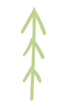 Fir, pine, spruce, conifer tree simple doodle isolated. Stock Illustration