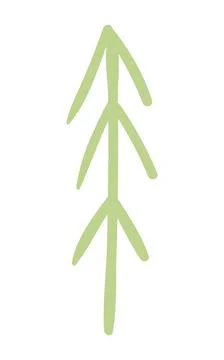 Fir, pine, spruce, conifer tree simple doodle isolated. Stock Illustration