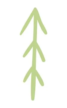 Fir, pine, spruce, conifer tree simple doodle isolated. Stock Illustration