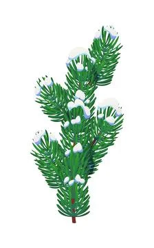Fir pine tree branch in winter snow for Christmas Stock Illustration