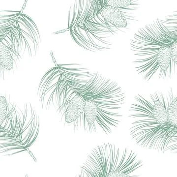 Fir seamless pattern on white background. Stock Illustration