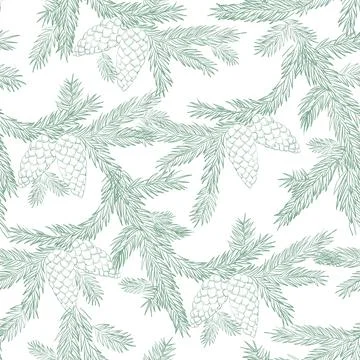 Fir seamless pattern on white background. Stock Illustration