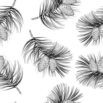 Fir seamless pattern on white background. Illustrazione stock