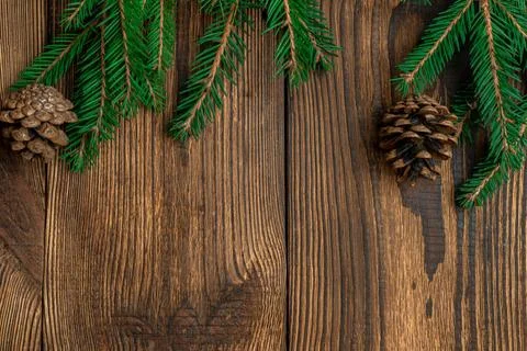 Fir, spruce branches, pine cones on brown wooden background with copy space Stock Photos