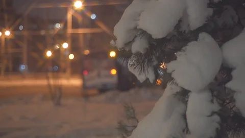 Fir tree against a night traffic background Stock Footage 103109399