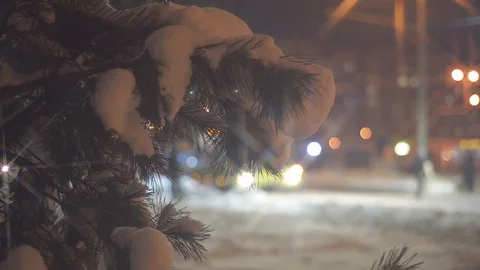Fir tree against a night traffic background Stock Footage 103109505