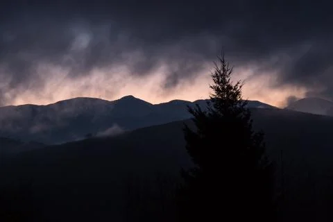 A fir tree appears in front of mountains during a sunset in Pyrenees Stock Photos