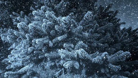 Fir Tree Background And Falling Snow Video stock 119222625