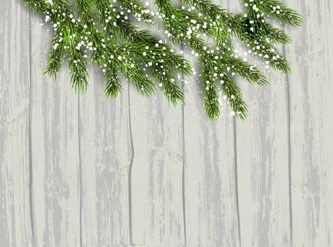 Fir tree background Stock Illustration
