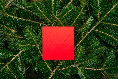 The fir tree background Stock Photos