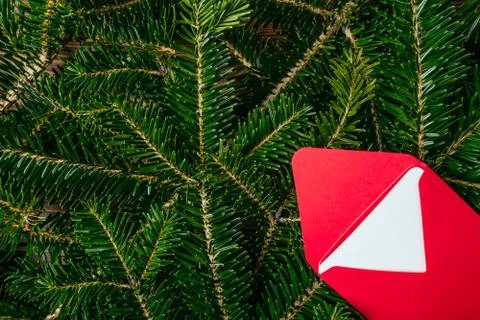 The fir tree background Stock Photos