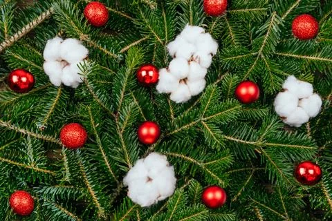 The fir tree background Stock Photos