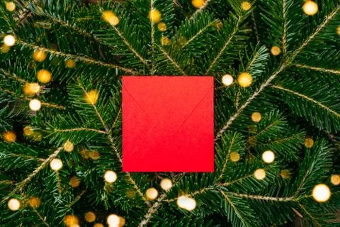 The fir tree background Stock Photos