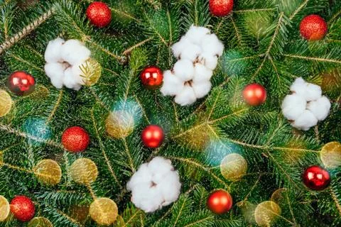 The fir tree background Stock Photos