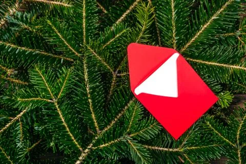 The fir tree background Stock Photos