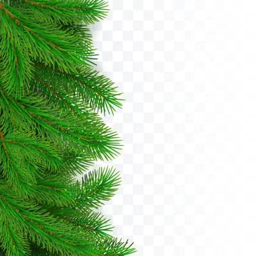 Fir tree border background. Christmas tree brancher. Realistic New Year seaso Stock Illustration