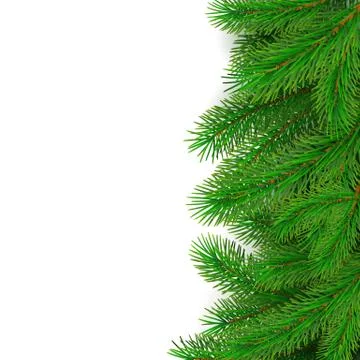 Fir tree border background. Christmas tree brancher. Realistic New Year seaso Stock Illustration
