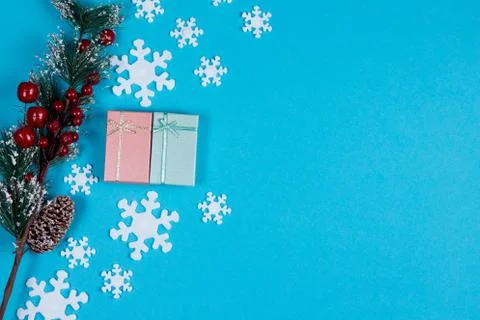 Fir tree branch and gift boxes, snowflakes on the blue background. Stock Photos