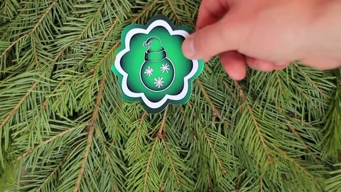 Fir-tree branch and green ball Stock Footage 70263874