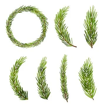 Fir tree branch christmas tree. Spruce pine tree branch isolated on white bac Stock Illustration