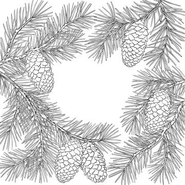 Fir Tree Branch with Cones Outline Frame. Stock Illustration