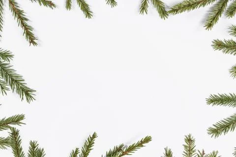 Fir tree branch frame on white Stock Photos